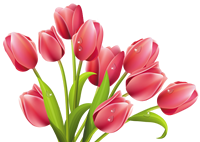 Поздравляем с Днём Весны! Поздравляем с Днём Весны!